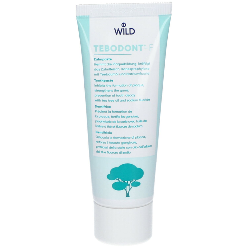 TEBODONT-F TOOTHPASTE 75 ML