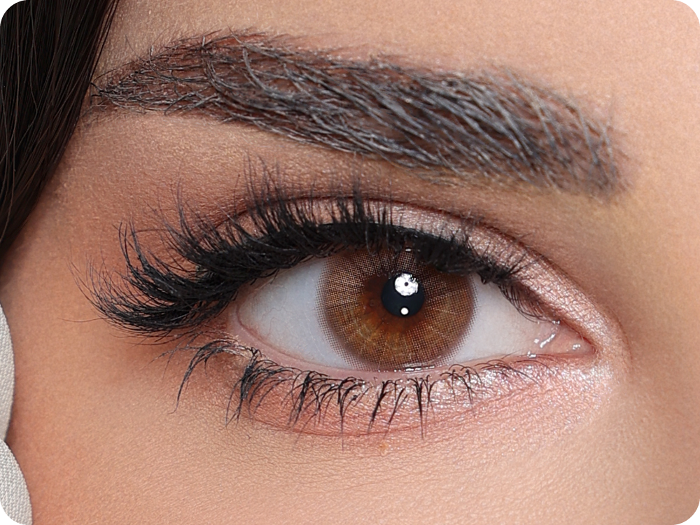 لومينووس شهري قهوة بلانو