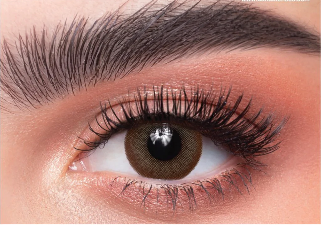 DAHAB LENSES NATURAL BROWN DAILY
