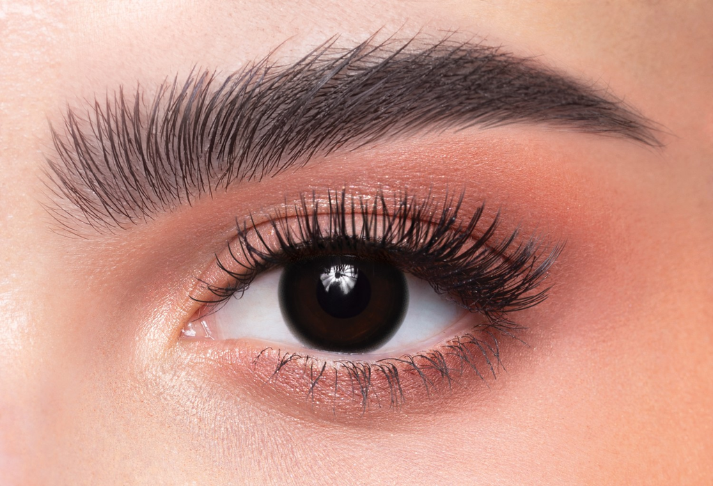 DAHAB LENSES NATURAL BLACK DAILY