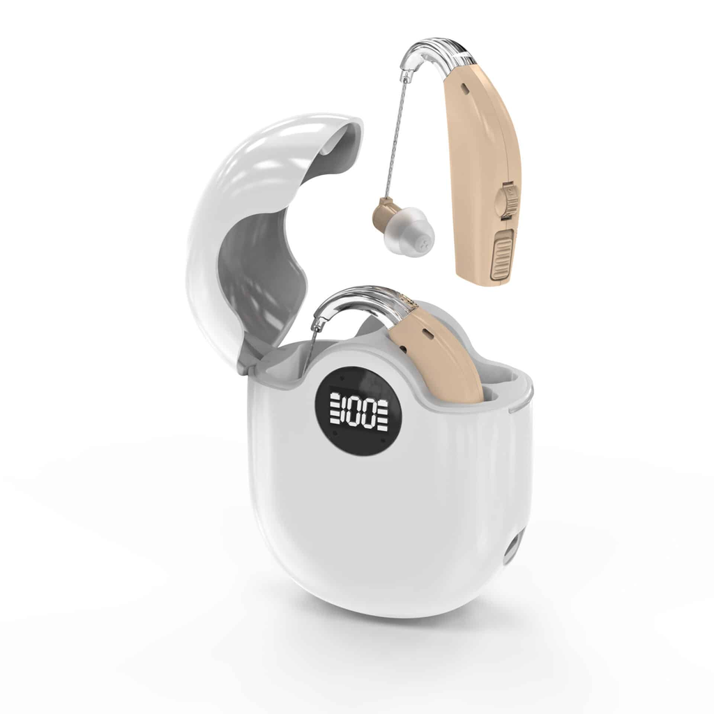 [I143589] PLEURIN HEARING AID GM-312T