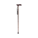 ELDERLY STICK BROWN