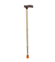 TYNOR WALKING STICK L-TYPE L 08 GOLD